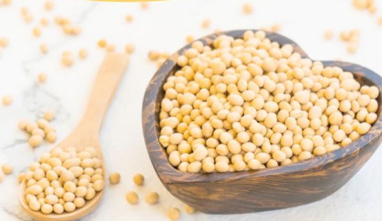 SOYBEAN PROTEIN: A HIGH QUALITY VEGETABLE PROTEIN